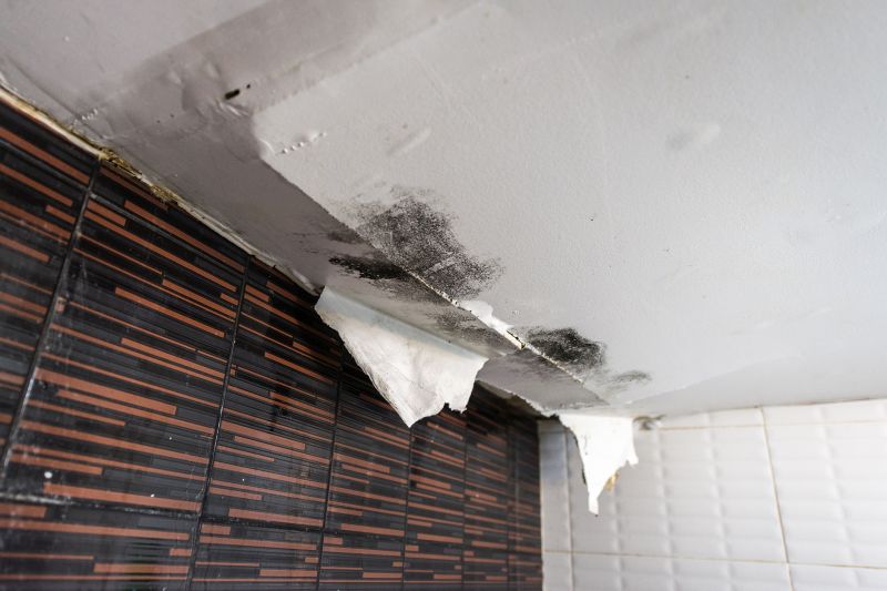 Ceiling Leak Repair Service in Denver County, CO