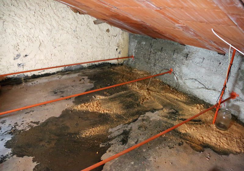 Leaking Ceiling Repair in Conroe, TX