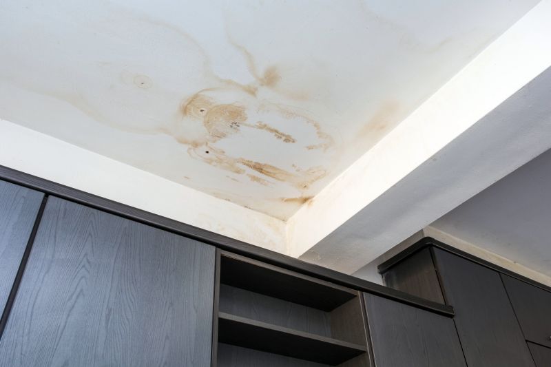 Attic Water Damage Repair in Conroe, TX
