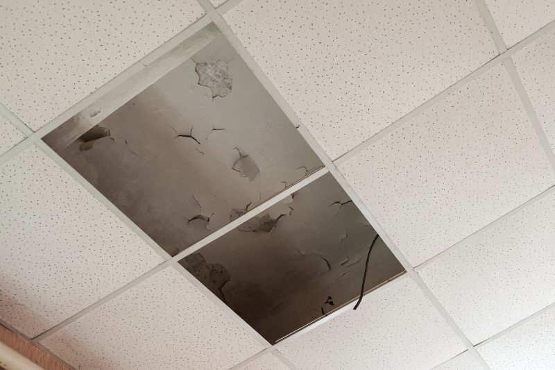 Leaking Ceiling Repair in Alpharetta, GA