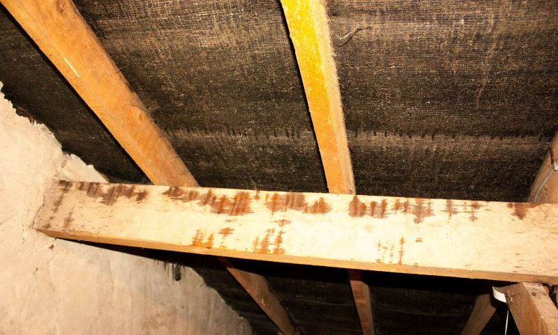Water Damage Ceiling Repair in Charleston, SC